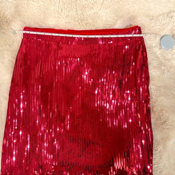 Rachel Zoe hot pink/raspberry “Bra” top and fring skirt. - Picture 8 of 10